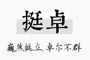 挺卓名字的寓意及含义