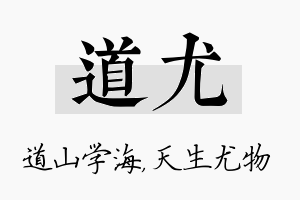 道尤名字的寓意及含义