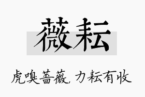 薇耘名字的寓意及含义