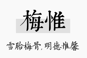 梅惟名字的寓意及含义