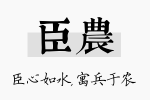 臣农名字的寓意及含义