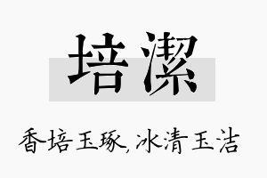 培洁名字的寓意及含义