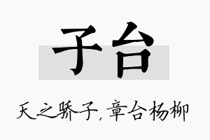 子台名字的寓意及含义