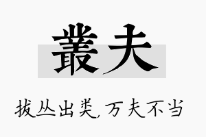 丛夫名字的寓意及含义