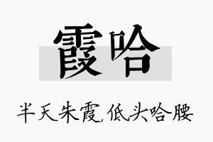 霞哈名字的寓意及含义