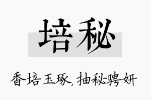 培秘名字的寓意及含义