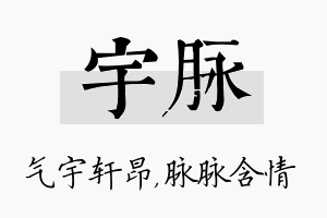 宇脉名字的寓意及含义