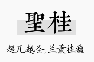 圣桂名字的寓意及含义