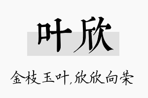 叶欣名字的寓意及含义