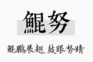 鲲努名字的寓意及含义