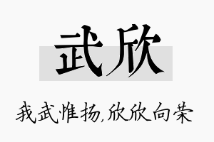 武欣名字的寓意及含义