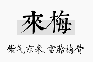 来梅名字的寓意及含义