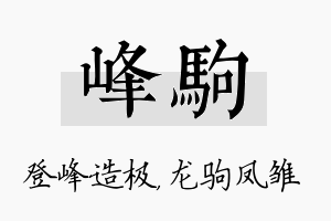 峰驹名字的寓意及含义