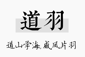 道羽名字的寓意及含义