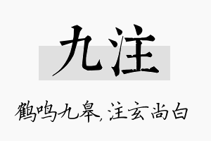 九注名字的寓意及含义