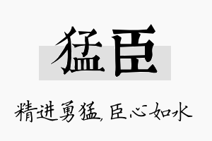 猛臣名字的寓意及含义