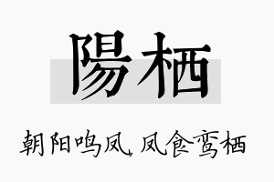 阳栖名字的寓意及含义