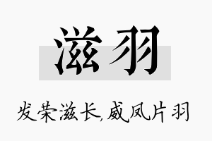 滋羽名字的寓意及含义