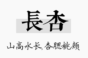 长杏名字的寓意及含义