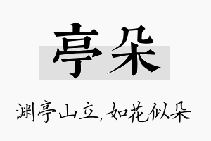 亭朵名字的寓意及含义