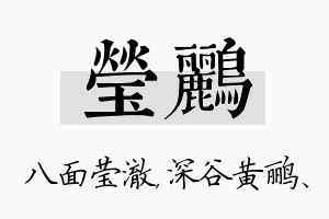 莹鹂名字的寓意及含义