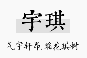 宇琪名字的寓意及含义