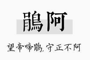 鹃阿名字的寓意及含义