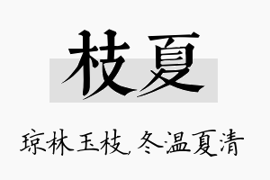 枝夏名字的寓意及含义