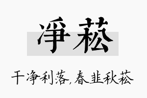 净菘名字的寓意及含义