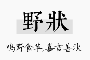 野状名字的寓意及含义