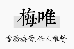 梅唯名字的寓意及含义