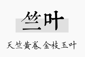 竺叶名字的寓意及含义