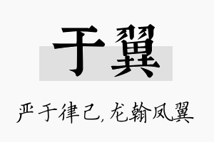 于翼名字的寓意及含义