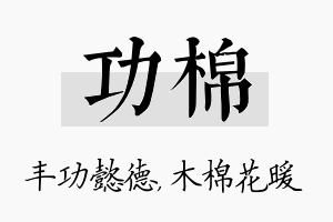 功棉名字的寓意及含义