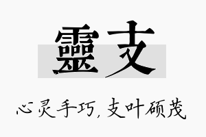 灵支名字的寓意及含义