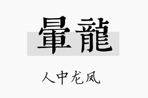 晕龙名字的寓意及含义