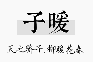 子暖名字的寓意及含义