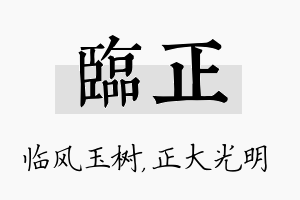 临正名字的寓意及含义