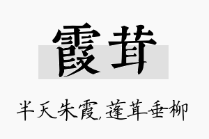 霞茸名字的寓意及含义