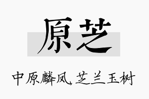 原芝名字的寓意及含义