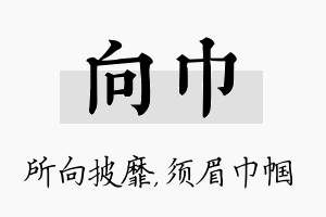 向巾名字的寓意及含义