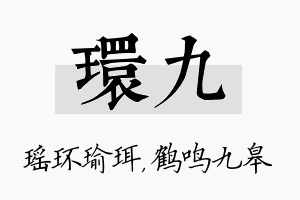 环九名字的寓意及含义