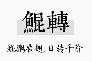 鲲转名字的寓意及含义