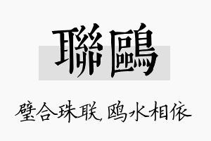 联鸥名字的寓意及含义