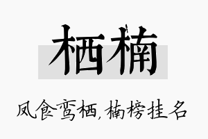 栖楠名字的寓意及含义