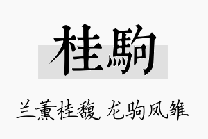 桂驹名字的寓意及含义