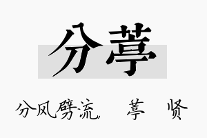 分葶名字的寓意及含义