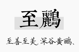 至鹂名字的寓意及含义