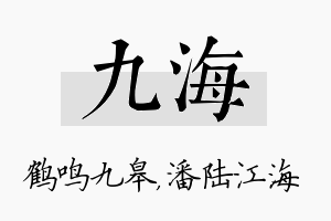 九海名字的寓意及含义