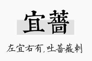 宜蔷名字的寓意及含义